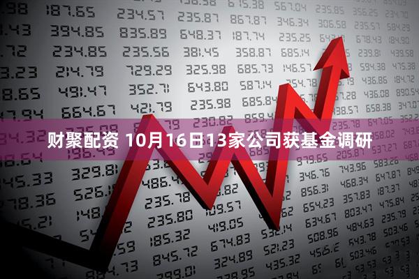 财聚配资 10月16日13家公司获基金调研